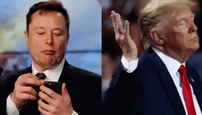 Should Donald Trump&#039;s Twitter account be restored? Elon Musk says THIS