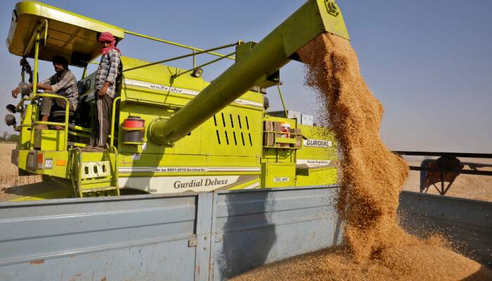 India bans export of wheat to check rising prices pinching Indian homes
