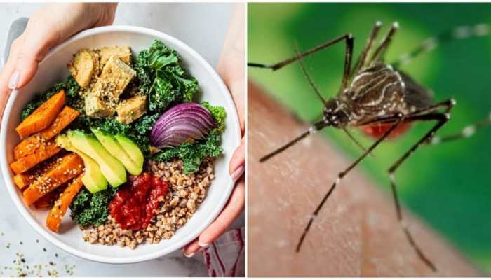 National Dengue Day: What to eat and what to avoid, check diet plan to follow for faster recovery 