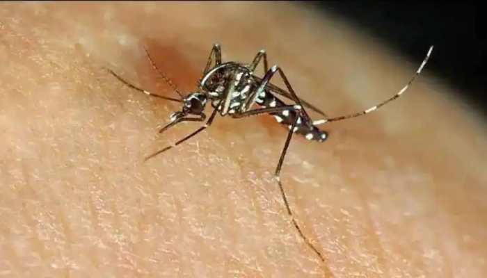 Dengue outbreak: Uttar Pradesh on high alert, officials amp up medical infrastructure