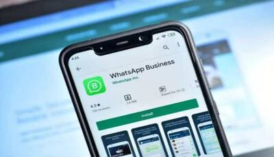 WhatsApp Business to get Premium subscription plan: Here's what it means
