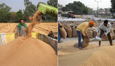 Wheat export ban: India assures food supplies to nations 'most in need' despite shortage