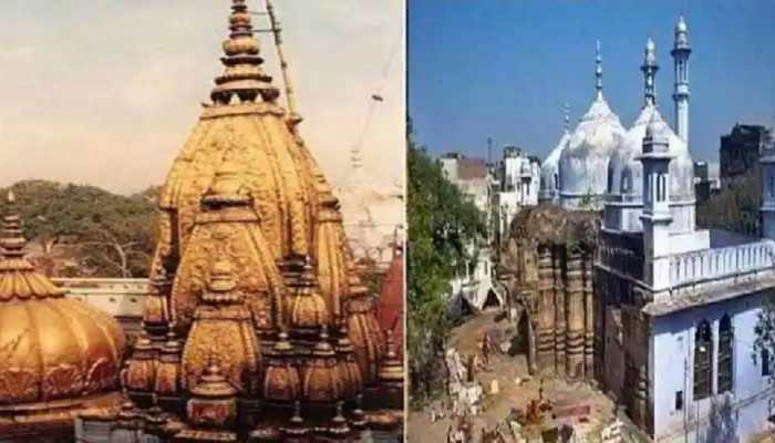 Gyanvapi Mosque survey report includes mention of wood apple tree, map from book: Report