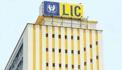 LIC investors lose more despite markets making big gains: Why is stock falling and what to do now? 