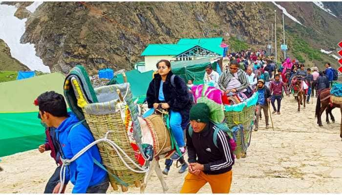 Chardham Yatra: Environmentalists flag concerns over threat to Uttarakhand&#039;s exotic herbs