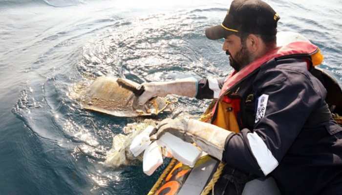 World Turtle Day 2022: UP govt releases nearly 300 endangered turtles into Chambal river