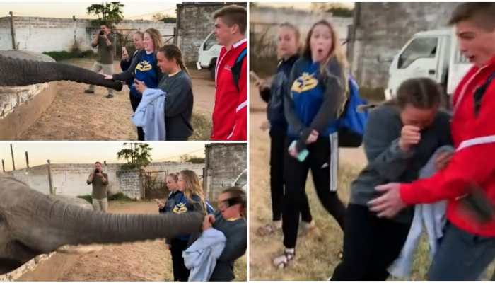 Terrifying! Elephant smacks girl right in the face as she clicks its picture- Watch