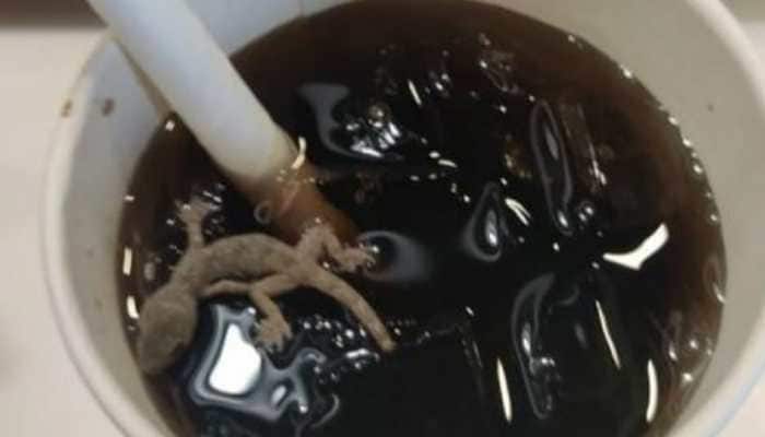 SHOCKING! McDonald&#039;s Ahmedabad outlet sealed after dead Lizard found in cold drink --Watch
