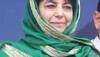 Mufti news