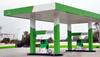 Flex Fuel: How it can reduce petrol cost in India, help in fighting pollution - Explained