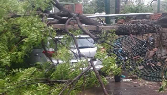 Two dead, trees uprooted, buildings damaged as heavy rains, strong winds batter Delhi