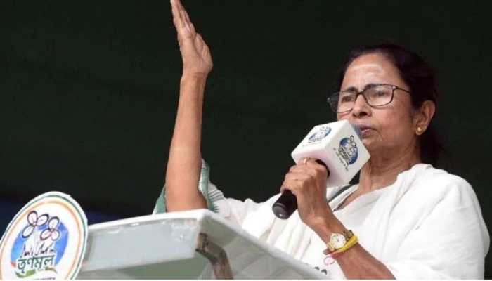 &#039;If they had been members of my party, I would have slapped 4 times&#039;, says Mamata Banerjee