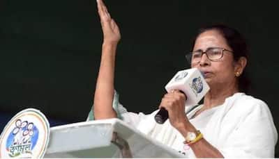 'If they had been members of my party, I would have slapped 4 times', says Mamata Banerjee