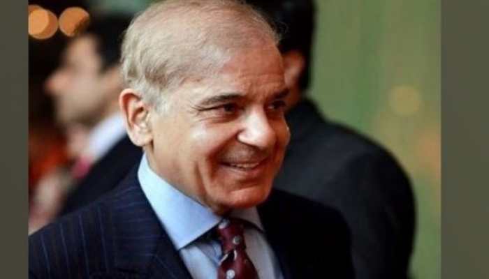 Shehbaz Sharif seeks to forge partnership between Pakistan and India, talks about &#039;mutually beneficial trade&#039;