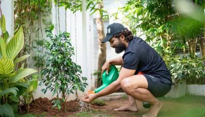 World Environment Day: Check out photo of Allu Arjun watering plants