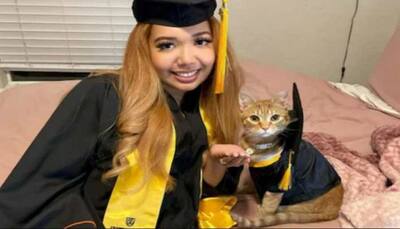 This cat attended all Zoom classes with owner. University did something special for her