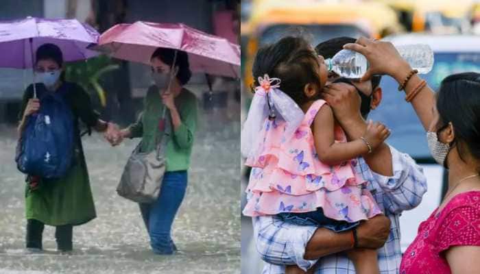 Weather update: IMD warns of heavy rainfall in these states, no major relief from intense heat in northwest India - Check full forecast here