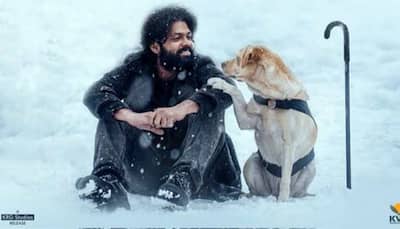 777 Charlie Twitter review: In this Rakshit Shetty starrer four-legged furry friend wins hearts!