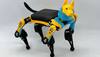 Humanoid robots