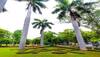UPSC Recruitment 2022: Apply for Asst. Executive Engineer and other posts at upsc.gov.in- Check details here