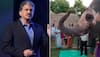 Anand Mahindra shares cute video of elephant's birthday, internet reacts