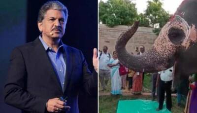Anand Mahindra shares cute video of elephant's birthday, internet reacts