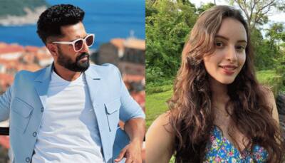Vicky Kaushal lifts Tripti Dimri in arms for romantic track in Croatia, leaked pics go VIRAL
