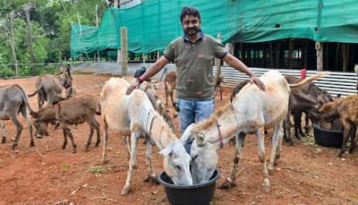 Man quits IT job to start donkey farm, sells milk of Rs 17 lakh