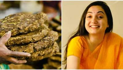 Prophet Comment Row: 192,000 kg of COWDUNG going from India to Kuwait amid Nupur Sharma controversy