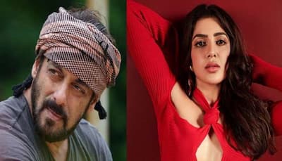 Samantha Ruth Prabhu to star in Salman Khan's No Entry sequel? Here's what we know