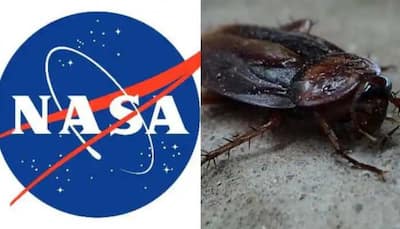 ‘Give us back our dust and cockroaches’, NASA tells auction company 