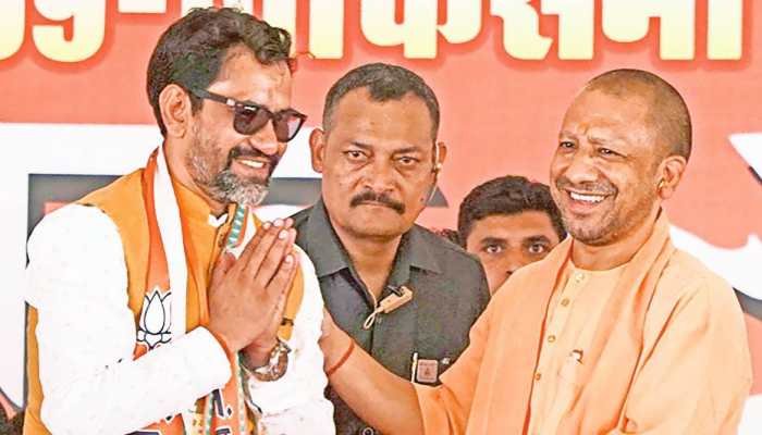 UP Bypoll Result 2022:  BJP sweeps Rampur & Azamgarh seat