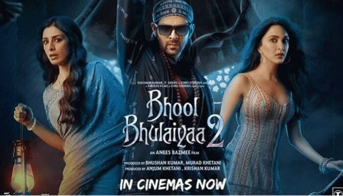 Bhool Bhulaiyaa 2: Rooh Baba and Manjulika flaunt their bond in THIS pic, check out
