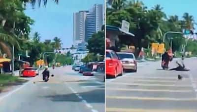 Woman riding scooter gets hit by coconut falling off a tree: Watch Video