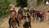 Amarnath Yatra begins amid 'Bam Bam Bhole' slogans, 2,750 pilgrims leave Nunwan base camp for the cave shrine