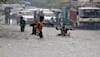 India weather report
