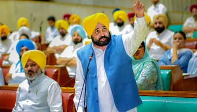 Bhagwant Mann to expand his cabinet today, 5-6 new ministers, including women, likely to join