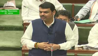 There won't be any power tussle; 'ED' govt is here to stay: Devendra Fadnavis after Maharashtra trust vote win