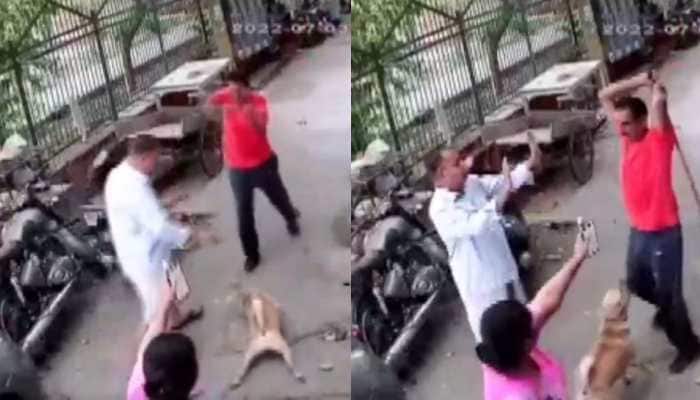 Delhi man hits pet dog, owner with iron rod; here's what happened: Watch