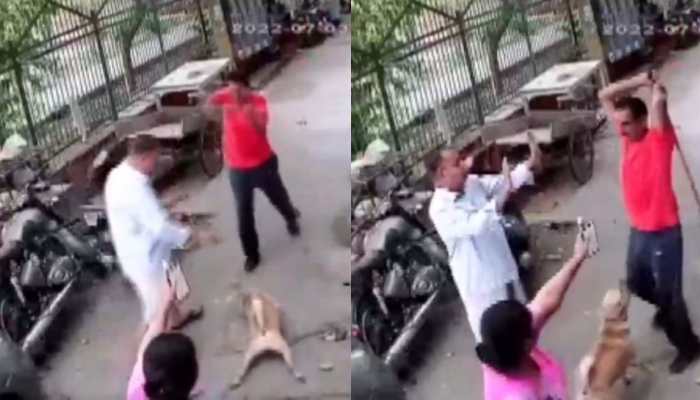 INHUMAN! Delhi man hits pet dog, owner with iron rod in broad daylight; here's what happened next: Watch