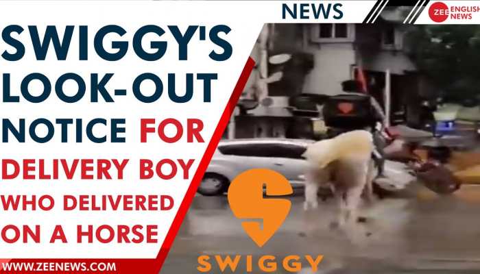 Swiggy announces award of Rs5000 to whoever finds out the guy who delivered food on horse | Offbeat