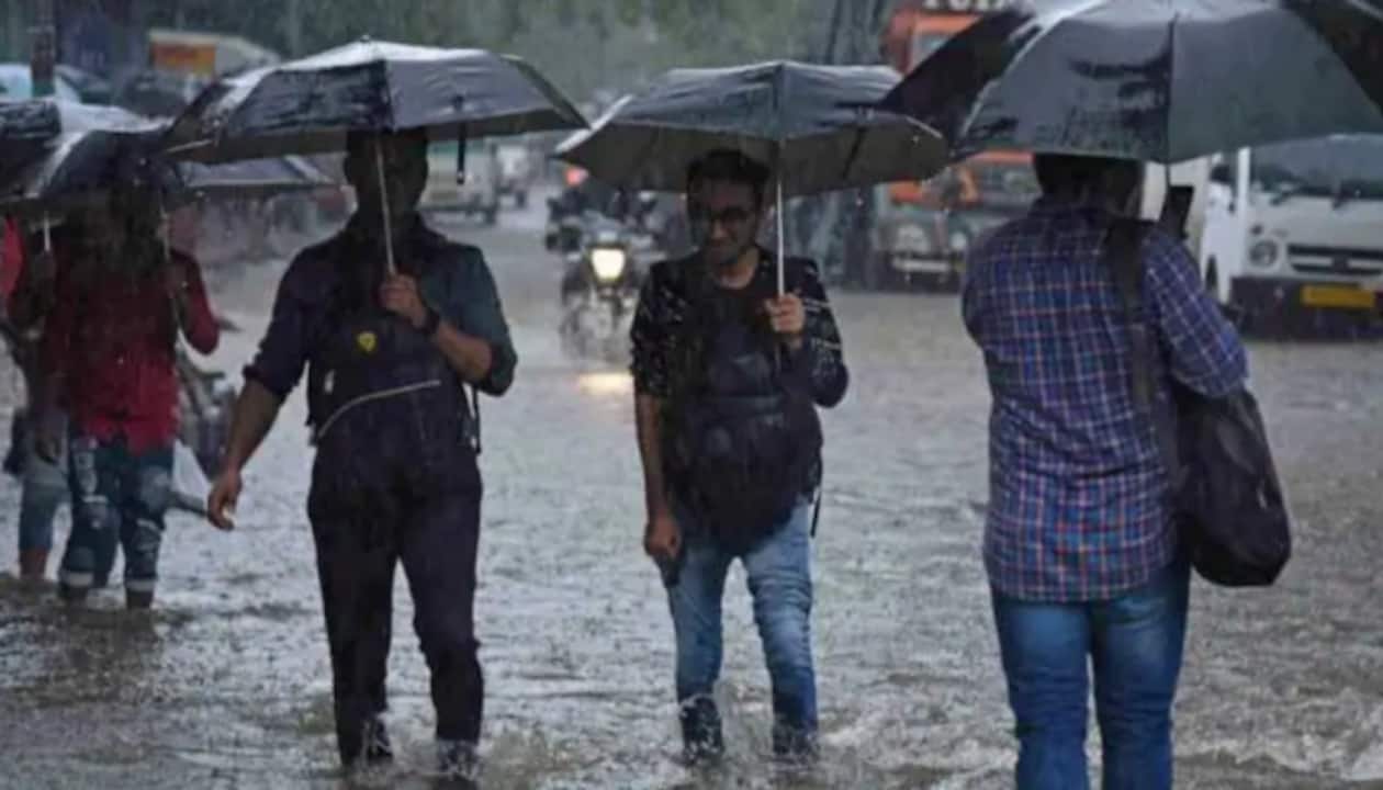 Kerala to get heavy rainfall, thunder in next 5 days, alert issued ...