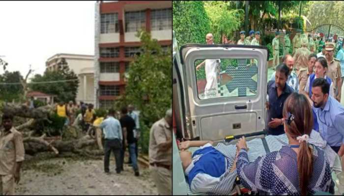 Student dies, several injured after old tree falls in Chandigarh&#039;s Carmel Convent School