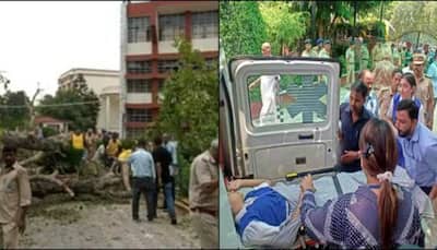 Student dies, several injured after old tree falls in Chandigarh's Carmel Convent School