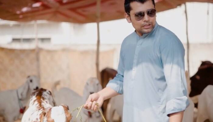 Pakistan cricketer Kamran Akmal&#039;s sacrificial goat tied outside home stolen by thieves