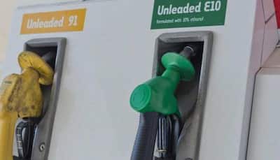 Nitin Gadkari says petrol will be over from India in next 5 years, promotes Ethanol-blended fuel - Explained