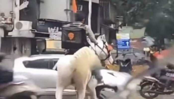 Swiggy finds &#039;mystery horse rider&#039; from viral video, says he is not a delivery boy 
