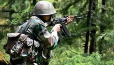 Top Jaish commander gunned down in south Kashmir during encounter