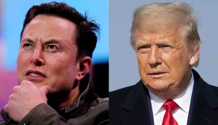 Donald Trump calls Elon Musk ‘another bull s*** artist,’ Musk responds, ‘it&#039;s time for Trump to hang up his hat &amp; sail into the sunset’