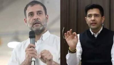 Opposition slams 'gag order' after ‘jumlajeevi', ‘corrupt' among list of words 'banned' in Parliament
